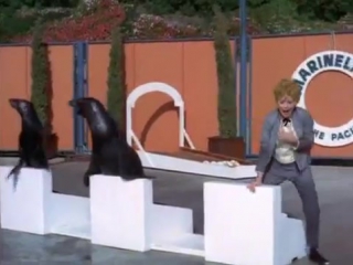 the lucy show s04e01 lucy at marineland